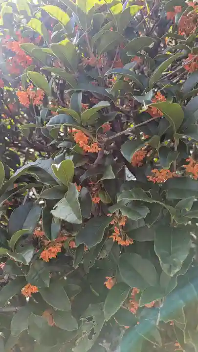 香雪院(京都府)