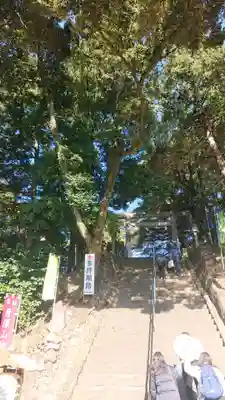 唐澤山神社(栃木県)