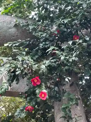 ときわ台天祖神社(東京都)