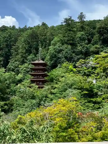 長谷寺(奈良県)