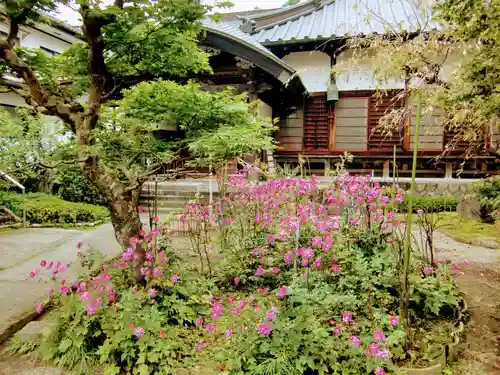 柳沢寺(群馬県)