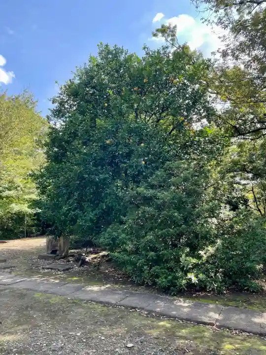 金毘羅神社(東京都)