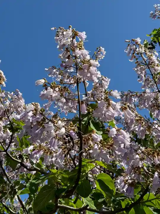 津観音(三重県)