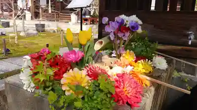 勝林寺の手水舎