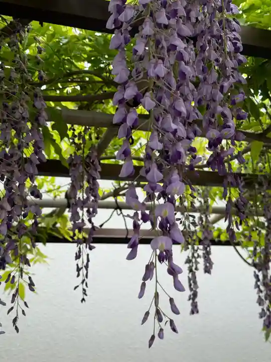 西方山極楽寺(岐阜県)