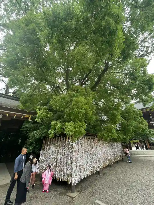 寒川神社の{uncategorized: "未分類", other: "その他", undefined: "問題あり", building: "その他建物", grave: "お墓", sacred_gate: "鳥居", guardian: "狛犬", statue: "像", buddha: "仏像", history: "歴史", nature: "自然", garden: "庭園", animal: "動物", pagoda: "塔", temizu: "手水舎", mountain_gate: "山門・神門", sanctuary: "本殿・本堂", subordinate: "末社・摂社", art: "芸術", scenery: "景色", jizo: "地蔵", ema: "絵馬", goshuin: "御朱印", omikuji: "おみくじ", items: "授与品その他", amulet: "お守り", goshuincho: "御朱印帳", eats: "食事", festival: "お祭り", votive_dance: "神楽", shichigosan: "七五三参", wedding: "結婚式", experience: "体験その他", initially: "初詣", around: "周辺", anti_infection: "感染症対策"}