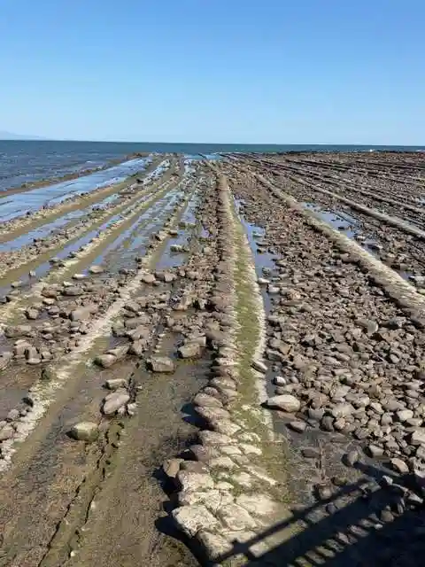 青島神社(青島神宮)(宮崎県)