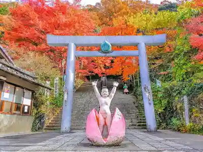 桃太郎神社（栗栖）の鳥居