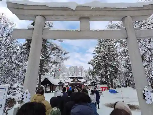 鷹栖神社の初詣