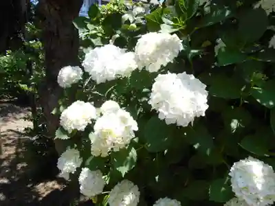 三島八幡神社(福島県)