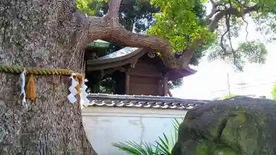 田光八幡社の本殿・本堂