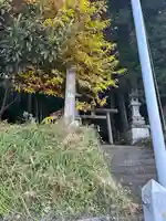 二荒山神社の鳥居