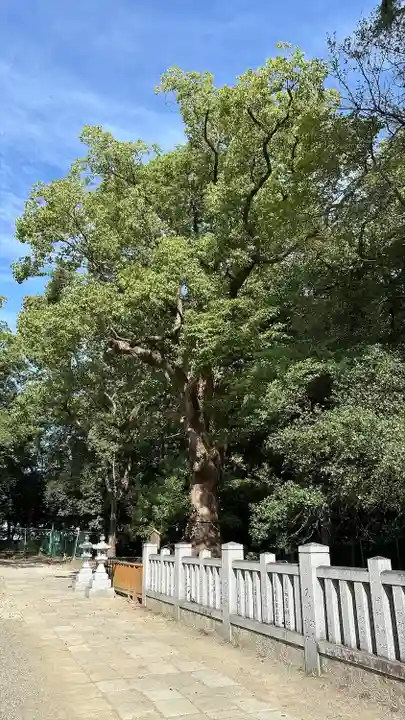 和泉國一之宮 大鳥大社(大阪府)