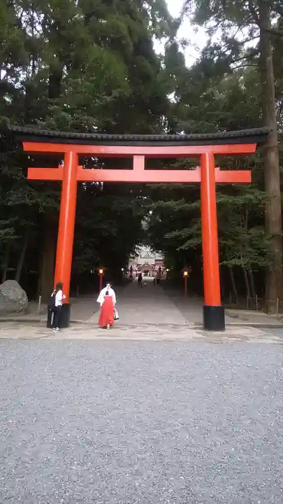 霧島神宮の鳥居