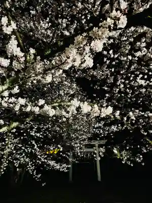 守りの神　藤基神社の鳥居