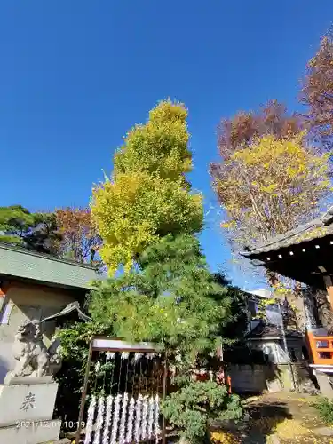 小岩神社のその他建物
