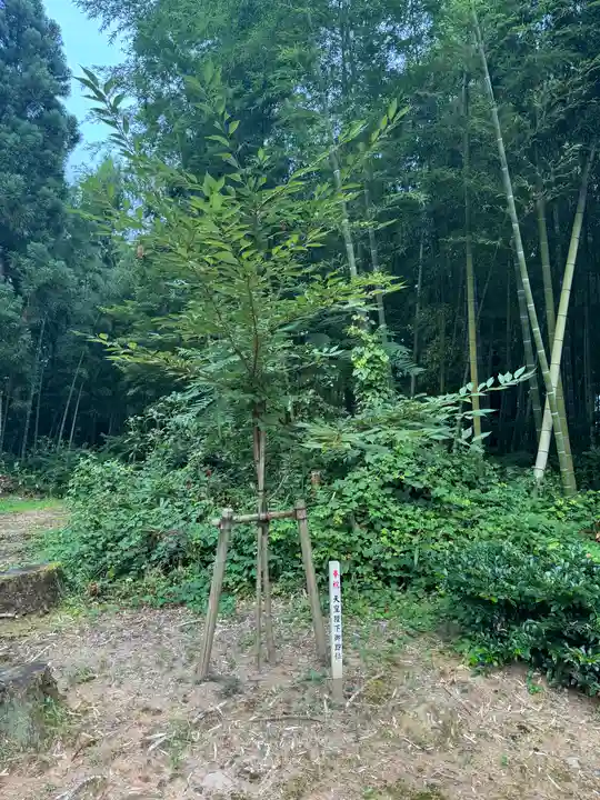 須賀神社(新潟県)