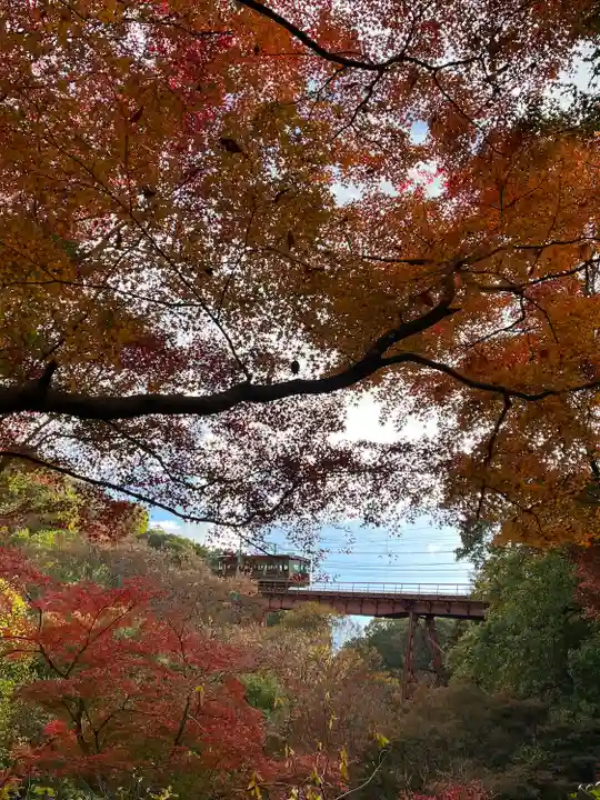 神應寺(京都府)