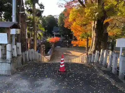 棚倉孫神社のその他建物