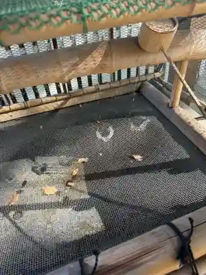 七所神社の{uncategorized: "未分類", other: "その他", undefined: "問題あり", building: "その他建物", grave: "お墓", sacred_gate: "鳥居", guardian: "狛犬", statue: "像", buddha: "仏像", history: "歴史", nature: "自然", garden: "庭園", animal: "動物", pagoda: "塔", temizu: "手水舎", mountain_gate: "山門・神門", sanctuary: "本殿・本堂", subordinate: "末社・摂社", art: "芸術", scenery: "景色", jizo: "地蔵", ema: "絵馬", goshuin: "御朱印", omikuji: "おみくじ", items: "授与品その他", amulet: "お守り", goshuincho: "御朱印帳", eats: "食事", festival: "お祭り", votive_dance: "神楽", shichigosan: "七五三参", wedding: "結婚式", experience: "体験その他", initially: "初詣", around: "周辺", anti_infection: "感染症対策"}