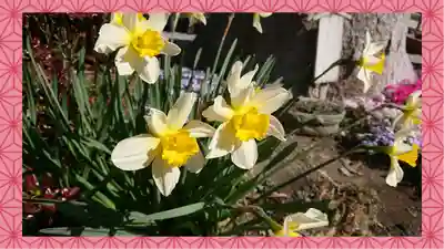 於菊稲荷神社(群馬県)
