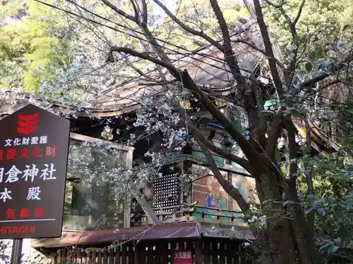 朝倉神社の自然