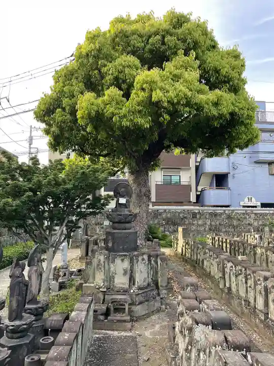 浄名院(東京都)