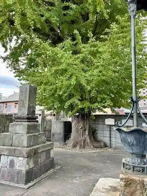 法禅寺(東京都)