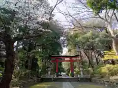 大宮八幡宮の鳥居