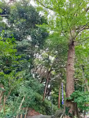 金毘羅宮(海南神社境内社)(神奈川県)