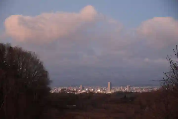 高屋敷稲荷神社の景色