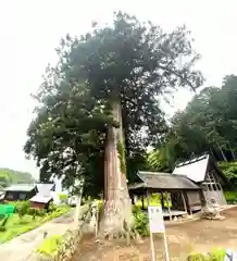 大内神社(京都府)