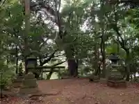 八雲神社(千葉県)