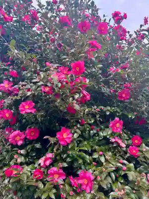 京都乃木神社の{uncategorized: "未分類", other: "その他", undefined: "問題あり", building: "その他建物", grave: "お墓", sacred_gate: "鳥居", guardian: "狛犬", statue: "像", buddha: "仏像", history: "歴史", nature: "自然", garden: "庭園", animal: "動物", pagoda: "塔", temizu: "手水舎", mountain_gate: "山門・神門", sanctuary: "本殿・本堂", subordinate: "末社・摂社", art: "芸術", scenery: "景色", jizo: "地蔵", ema: "絵馬", goshuin: "御朱印", omikuji: "おみくじ", items: "授与品その他", amulet: "お守り", goshuincho: "御朱印帳", eats: "食事", festival: "お祭り", votive_dance: "神楽", shichigosan: "七五三参", wedding: "結婚式", experience: "体験その他", initially: "初詣", around: "周辺", anti_infection: "感染症対策"}