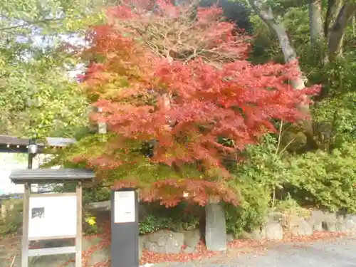 鎌倉宮の景色