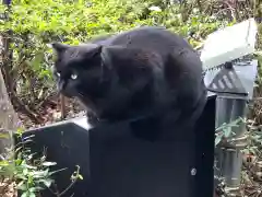 王子神社の動物