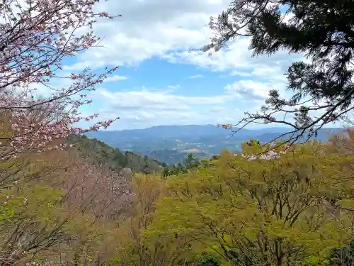 正法寺の景色