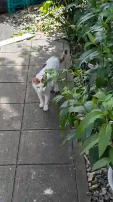 行願寺（革堂）(京都府)