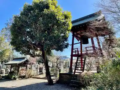 天翁院(栃木県)