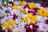 伊達神社の手水舎