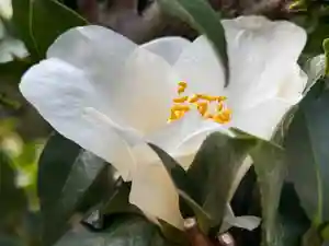 西方山極楽寺(岐阜県)(2026年03月03日(火) 01時55分03秒投稿)