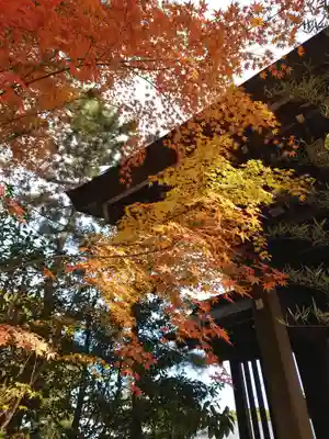 寒川神社(神奈川県)