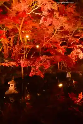 長谷寺(神奈川県)