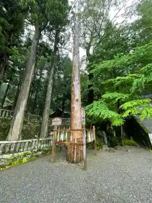 諏訪大社(長野県)