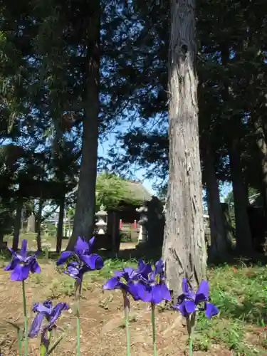 伏木香取神社(茨城県)