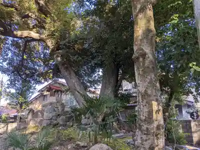 伊多波刀神社(愛知県)
