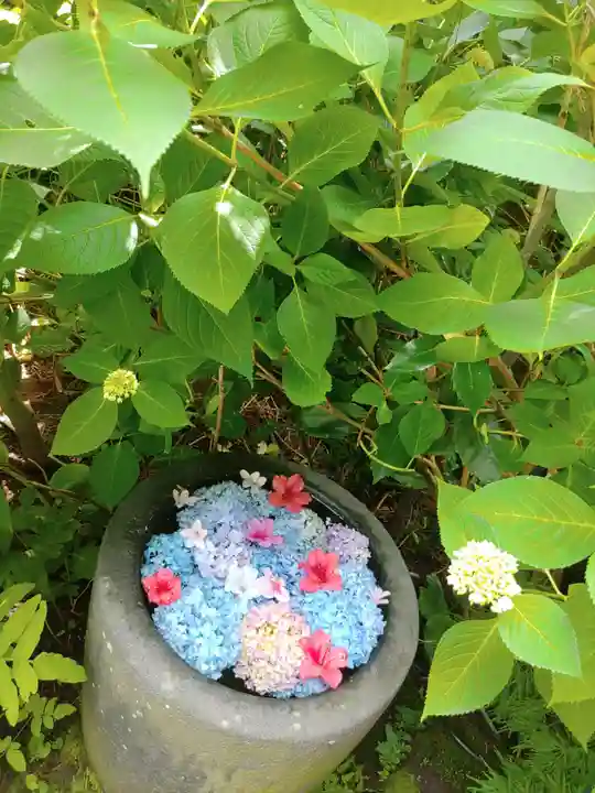 雲昌寺(秋田県)