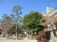 種徳寺(東京都)