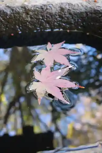 明王院（満願寺別院）の自然