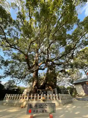 宇美八幡宮の自然